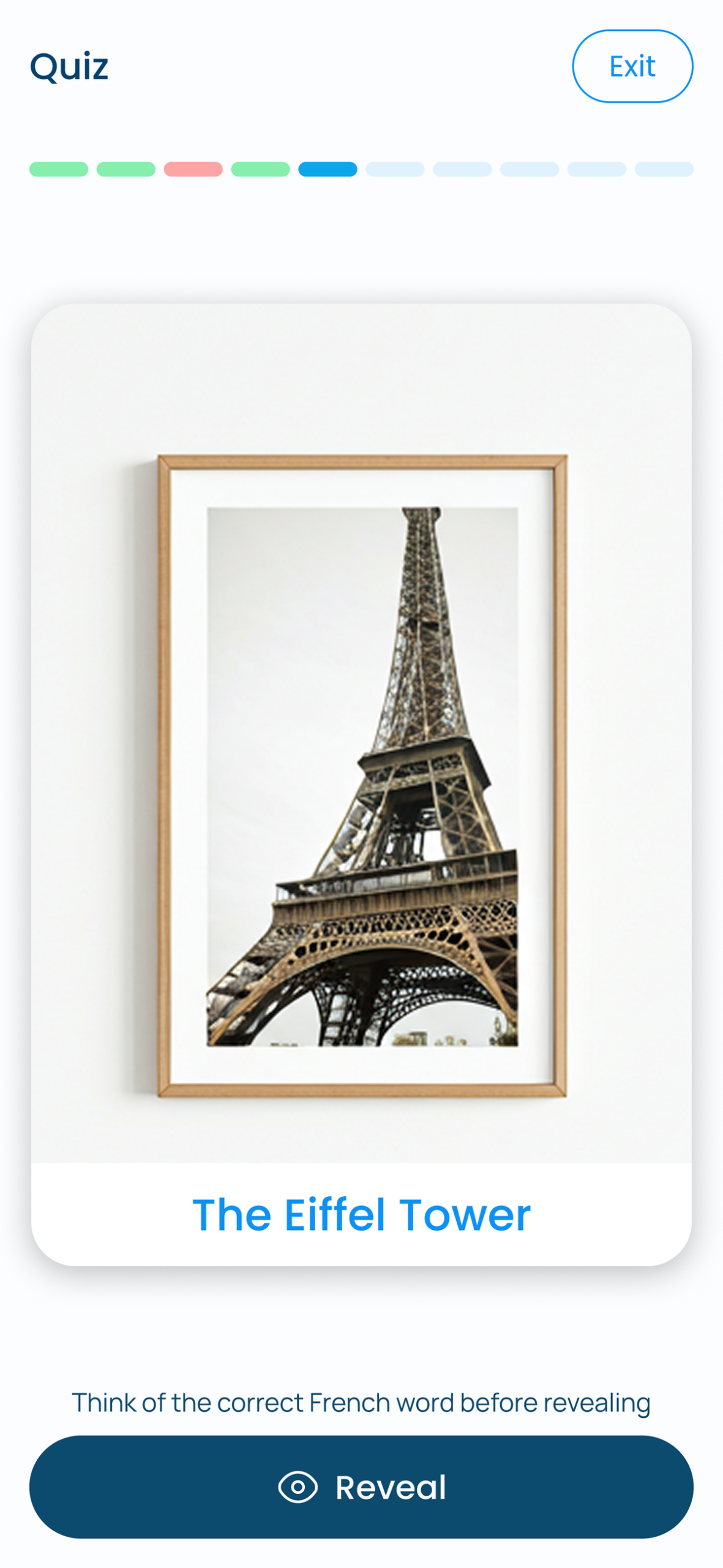 Project Gallery Image